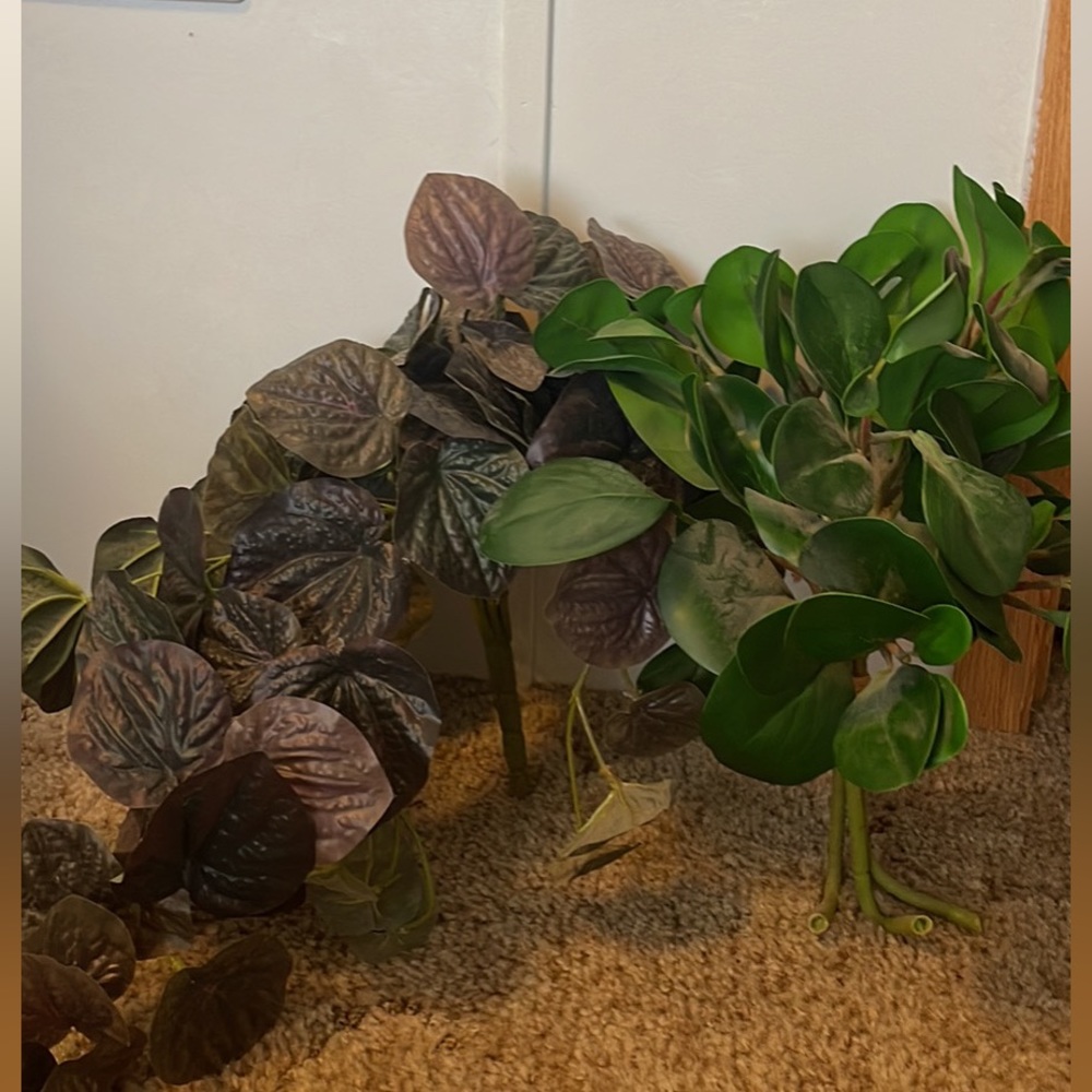 Greenery Bundles
